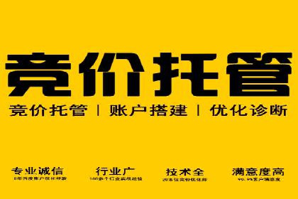 从新手到高手：SEM竞价员成长之路